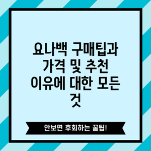 요나백 구매팁과 가격 및 추천 이유에 대한 모든 것