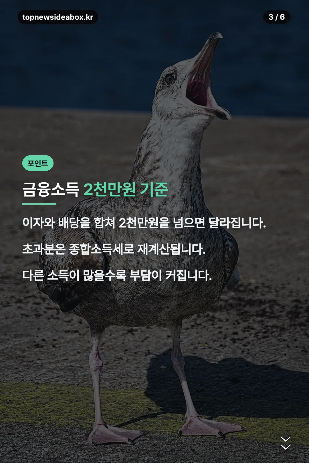 금융소득종합과세 기준