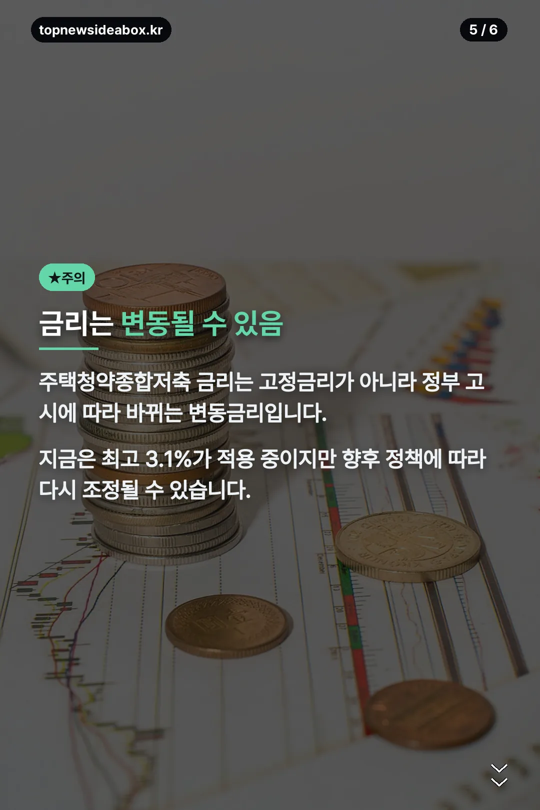 변동금리 주의사항
