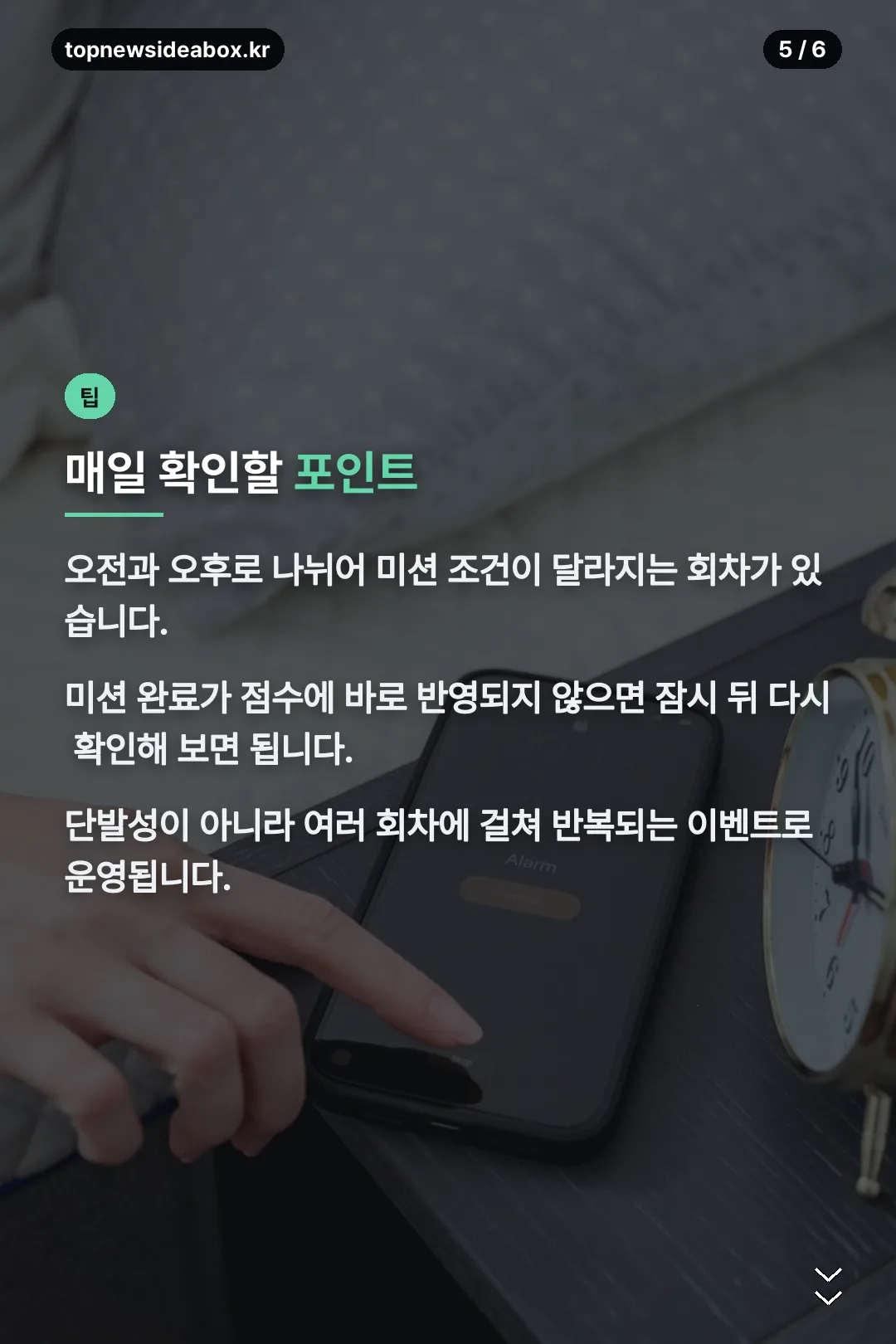 매일 확인 팁