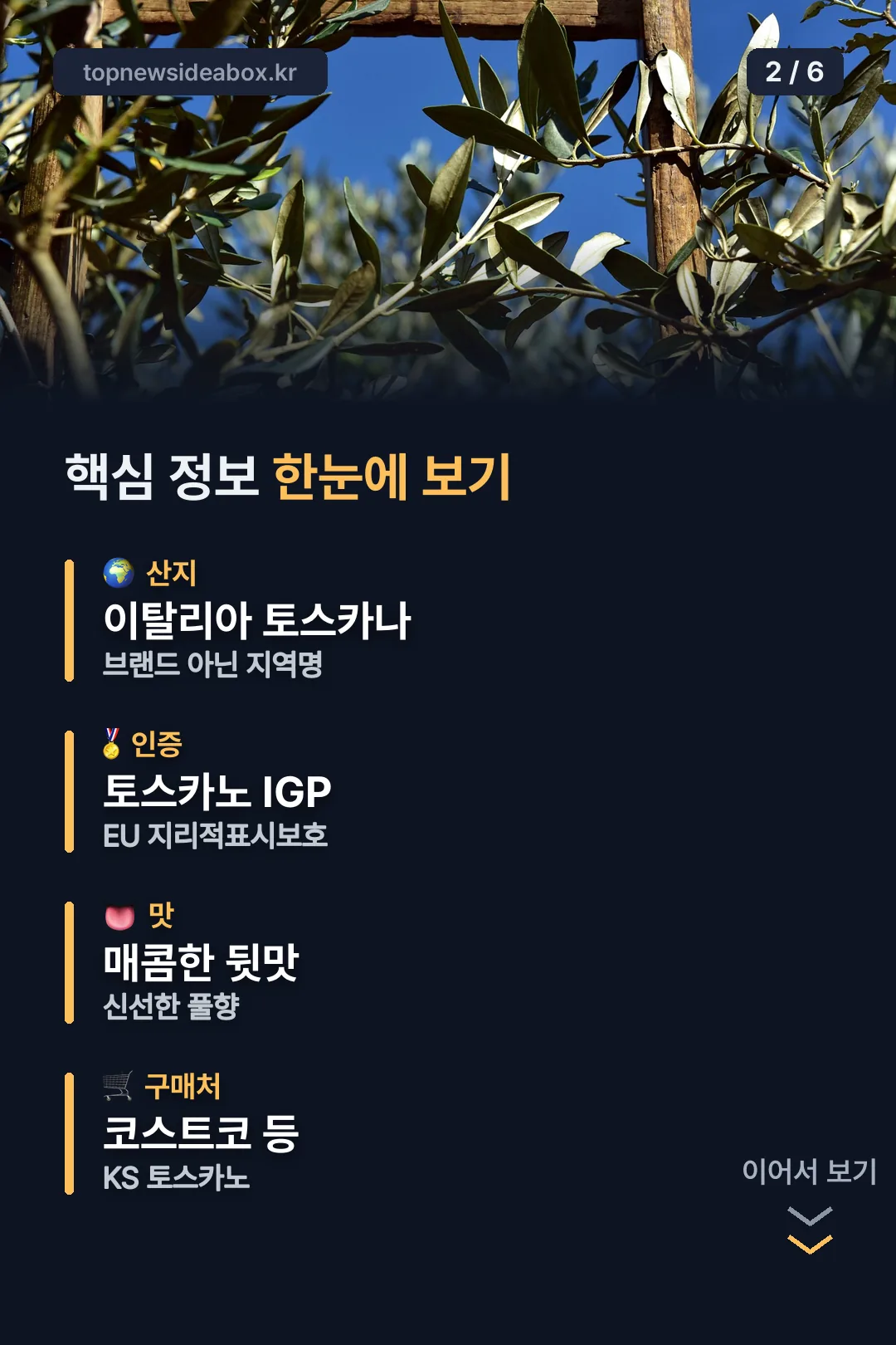 핵심 정보 요약