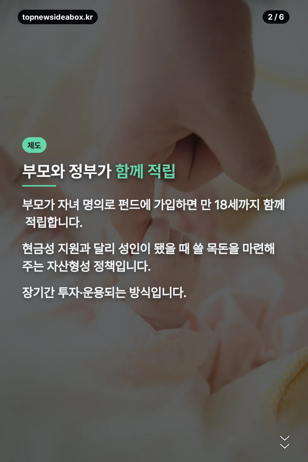 제도 구조 안내