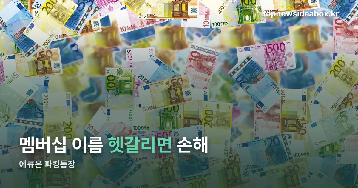 에큐온 파킹통장 정리 썸네일